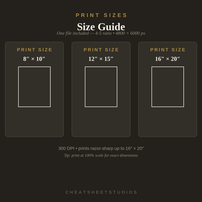 May include: A dark brown digital print size guide featuring three rectangular frames labeled 8 inches by 10 inches, 12 inches by 15 inches, and 16 inches by 20 inches. The text includes 4:5 ratio, 4800 by 6000 pixels, 300 DPI, and CHEATSHEETSTUDIOS.