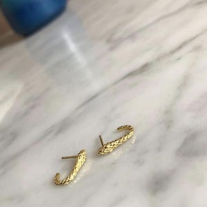 Snake Lobe Huggie Studs