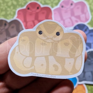 Ball Python Stickers and Magnets | Customizable Colors