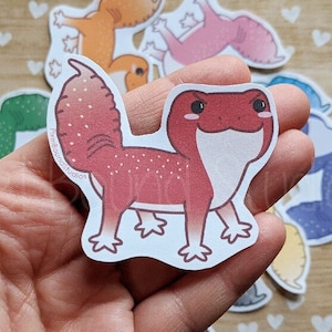 Chibi Knob-Tailed Gecko Stickers and Magnets