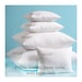 see more listings in the PILLOW INSERTS - SAMPLES section