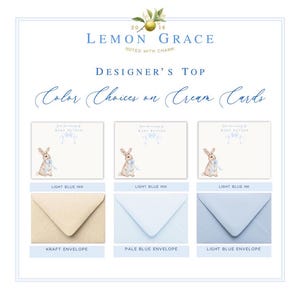 Puede incluir: Un juego de tarjetas de agradecimiento para baby shower de color crema con una ilustraci&oacute;n de un conejito sosteniendo una cinta azul en tinta azul claro. Las tarjetas se muestran con tres opciones de sobre diferentes: kraft, azul p&aacute;lido y azul claro.