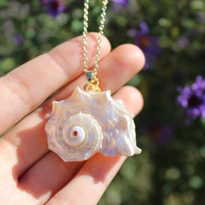 Real Seashell Pendant Necklace