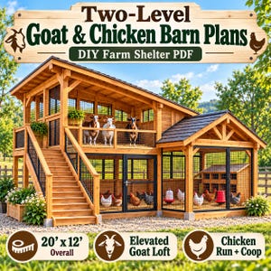 May include: A two-level wooden barn structure featuring an elevated goat loft with three goats and a ground-level chicken coop with multiple chickens. The structure includes a staircase, wire mesh panels, and a roof. Text reads: Two-Level Goat & Chicken Barn Plans, DIY Farm Shelter PDF, 20' x 12' Overall, Elevated Goat Loft, Chicken Run + Coop.