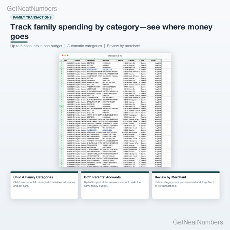 Family transactions ledger: imported bank transactions with account, merchant, amount, category and month.