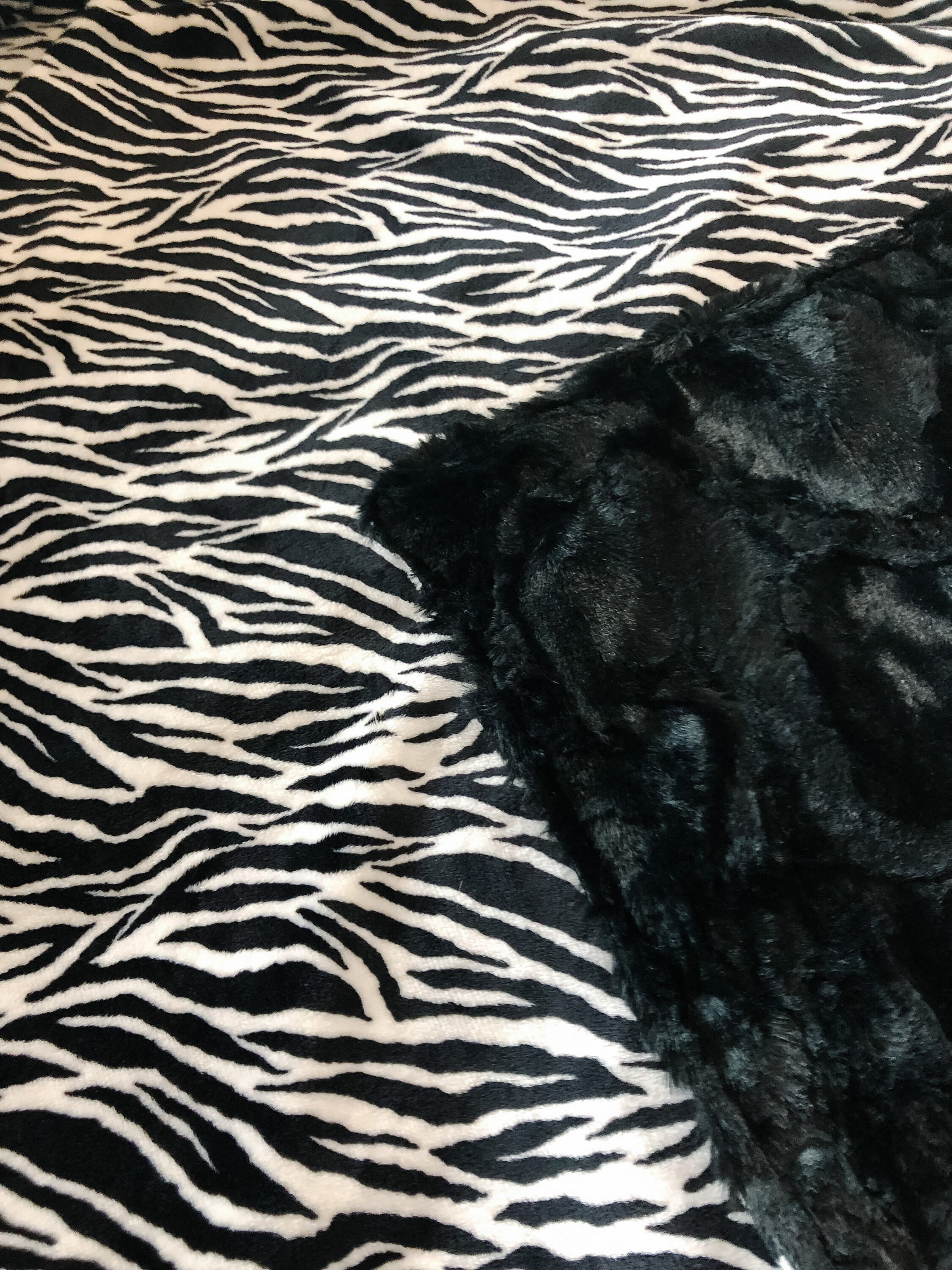 Zebra Print Minky Blanket Faux Fur Zebra Print Minky Cuddle Etsy