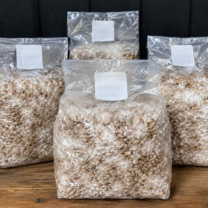 May include: Four clear plastic bags filled with grain spawn for mushroom cultivation. Each bag features a white square filter patch at the top, allowing for gas exchange while containing the colonised grain substrate inside.