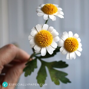 3D Paper Flower Template for Feverfew and Tutorial for Cricut & Silhouette Cutting Machines SVG, DXF image 2