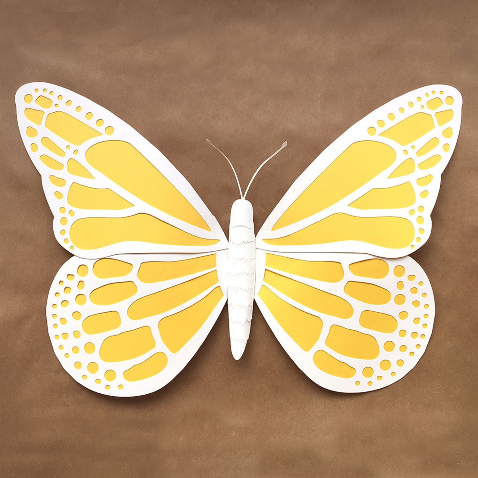 Объемная бабочка из бумаги своими руками. Бабочка из бумаги. Объемные бабочки. Объемные бабочки из бумаги. Бабочка из бумаги своими руками.