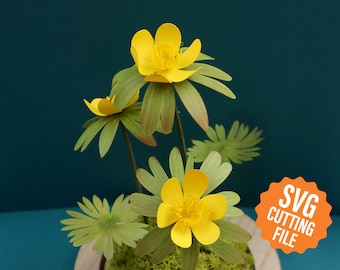 Papierblumen, Winter Aconitum SVG Vorlage und Tutorial für Cricut & Silhouette Schneidemaschinen (SVG, DXF)
