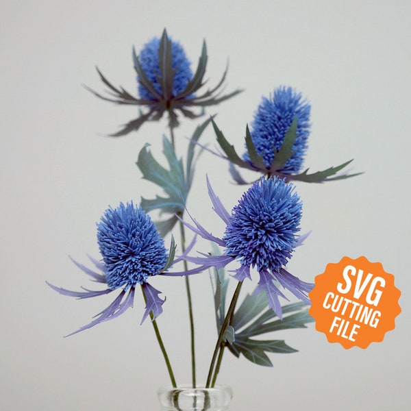 Modello di fiore di carta 3D SVG, Sea Holly o Eryngium e tutorial per macchine da taglio Cricut e Silhouette