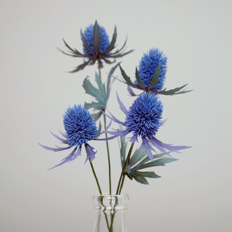 May include: A bouquet of blue thistle flowers arranged in a clear glass vase. The flowers have a spiky texture and are arranged in a symmetrical pattern.