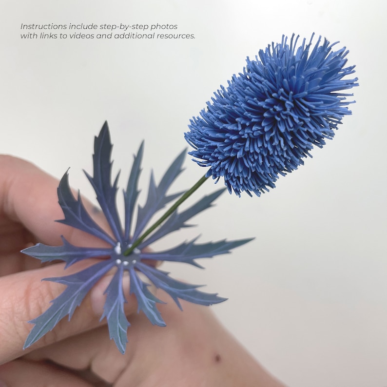 May include: A blue paper flower with a spiky, round head and a star-shaped base of leaves.
