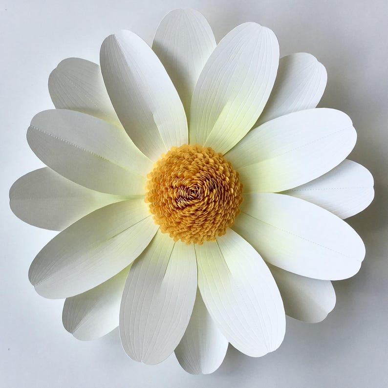 Free Free 239 Cricut Daisy Flower Svg Free SVG PNG EPS DXF File