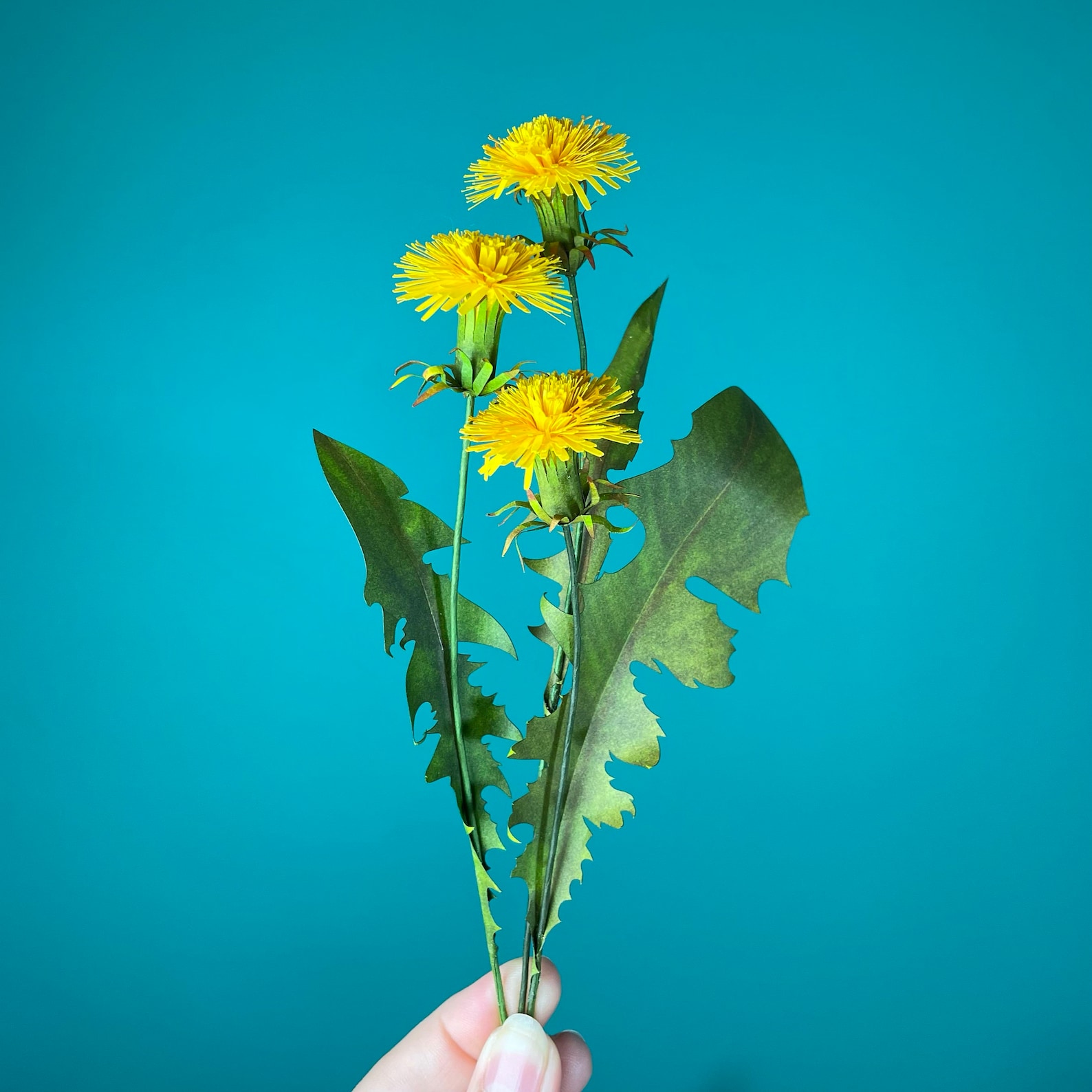 Paper Flower Dandelion Template & Tutorial SVG for Cricut Etsy