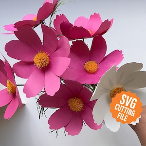 Tutorial e modello di fiore di carta 3D Cosmos, modello SVG per macchine da taglio Cricut e Silhouette (SVG, DXF)