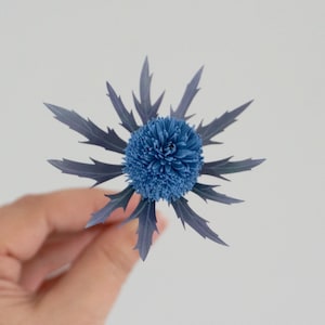 May include: A blue thistle flower with spiky petals and a round, fuzzy center.