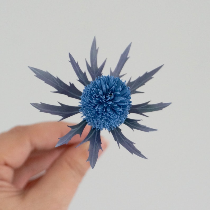 May include: A blue thistle flower with spiky petals and a round, fuzzy center.