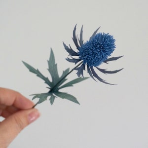 May include: A single blue thistle flower with green leaves. The flower is a blue-grey color and has a spiky texture.