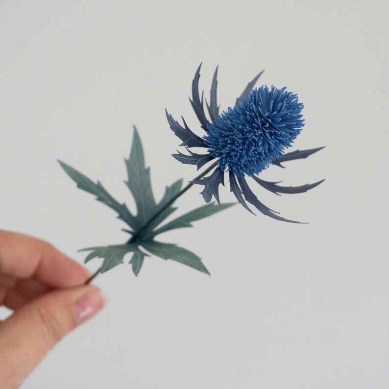 May include: A single blue thistle flower with green leaves. The flower is a blue-grey color and has a spiky texture.