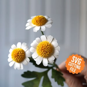 3D Paper Flower Template for Feverfew and Tutorial for Cricut & Silhouette Cutting Machines SVG, DXF image 1