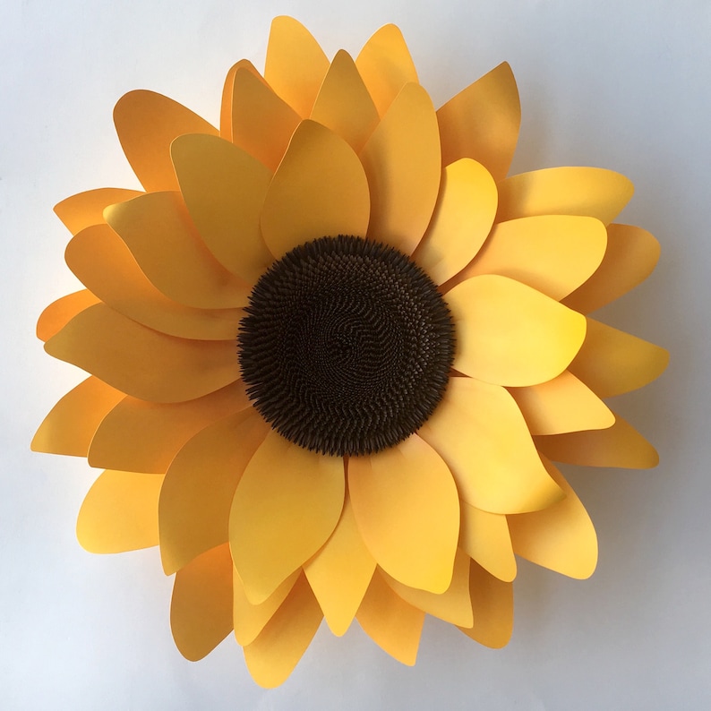 Sunflower Petal Template Sunflower Petal Template