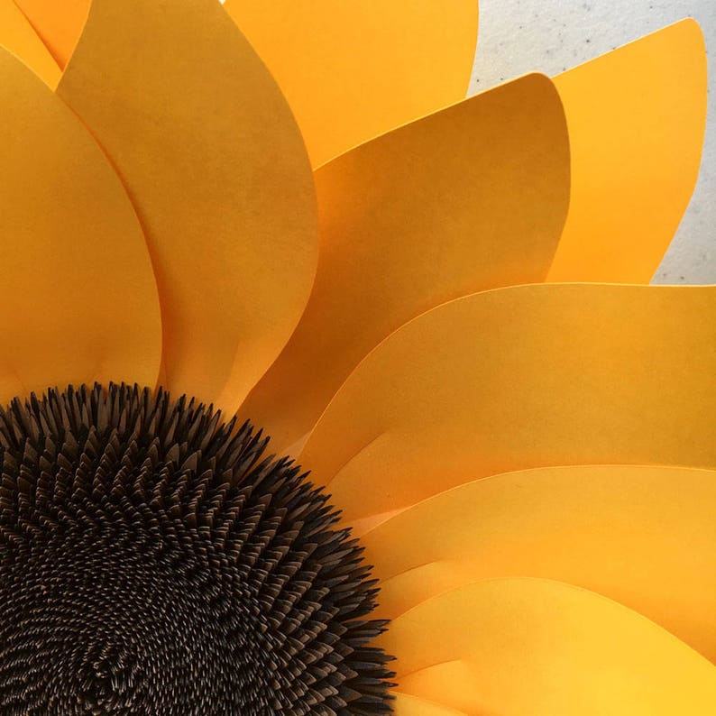 Download SVG Paper Flower 3D Sunflower Template for Silhouette or ...