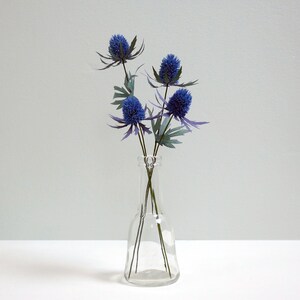 May include: A clear glass vase with a wide base and a narrow neck holds a bouquet of blue thistle flowers.