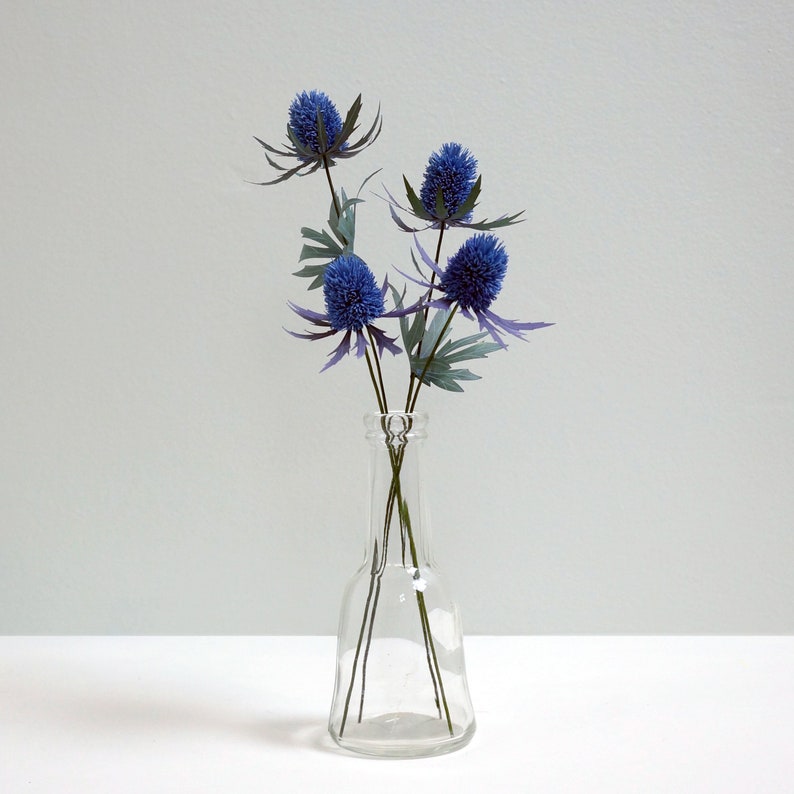 May include: A clear glass vase with a wide base and a narrow neck holds a bouquet of blue thistle flowers.