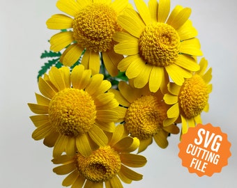 SVG Paper Flower: Dyer’s Chamomile Template for Cricut and Silhouette Cutting Machines