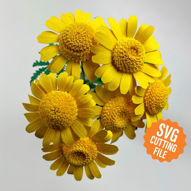 SVG Paper Flower: Dyers Chamomile Template for Cricut and Silhouette Cutting Machines image 1