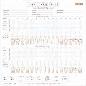 Può includere: Un documento di cartella parodontale bianco con sezioni per le informazioni del paziente, diagrammi dei denti mascellari e mandibolari e griglie di dati clinici per le misurazioni di PD, recessione e CAL. Include una legenda.