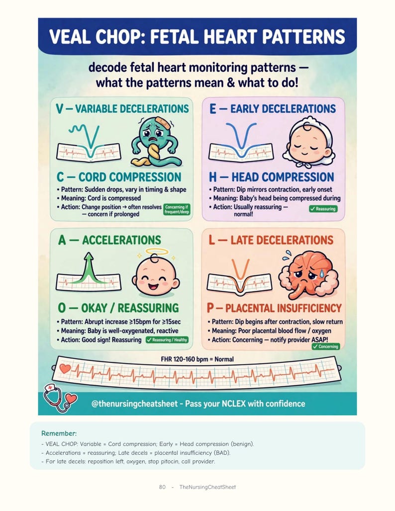 以下が含まれることがあります： VEAL CHOP: FETAL HEART PATTERNSというタイトルの教育用インフォグラフィック。胎児心拍モニタリングのパターンを解説しており、変動一過性徐脈、早期一過性徐脈、一過性頻脈、遅延一過性徐脈の各セクションが、イラストとテキストで意味や対応策とともに説明されています。