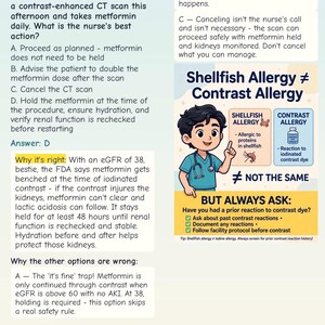 May include: An educational infographic page titled Question 241, featuring a medical multiple-choice question about metformin and CT scans, with an answer key and a colorful illustration explaining the difference between shellfish and contrast allergies.