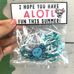 Axolotl Keychain, End of Year Student Gift, Axolotl Party Favor, End of School Gift, Goody Bag, Classroom Gift, Axolotl Student Gift