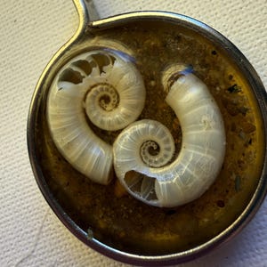 Vintage Spirula Spirula Shell Resin Pendant - Ram's Horn Squid Spiral Sea Shell Necklace, Coastal Whimsigoth Nautical Jewelry Australia