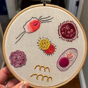 May include: A circular wooden embroidery hoop containing off-white fabric with hand-stitched colorful microbial designs. The embroidery features a red and white cell with black appendages, a dark red circular virus, a yellow and red cluster, a purple cell, and yellow spirals.