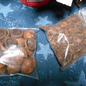 May include: Two clear plastic bags filled with brown food items. One bag contains small, round, brown pieces of food. The other bag contains larger, irregularly shaped, brown pieces of food.
