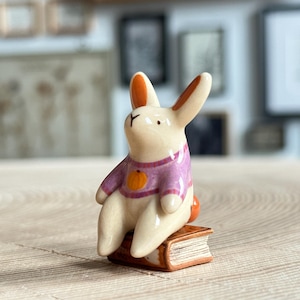 Könnte beinhalten: Eine kleine Keramikfigur eines cremefarbenen Hasen mit langen Ohren, der einen rosa Pullover mit einem orangefarbenen kreisförmigen Design auf der Brust trägt. Der Hase sitzt auf einem kleinen braunen rechteckigen Buch mit sichtbaren Seiten.