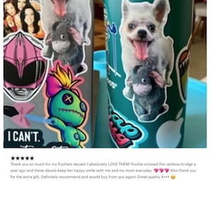 May include: A teal water bottle and a laptop covered in stickers. The stickers include a white dog with its tongue out, a gray stuffed animal, a green voodoo doll, and the words "I CAN'T."