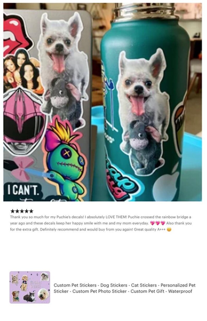 May include: A teal water bottle and a laptop covered in stickers. The stickers include a white dog with its tongue out, a gray stuffed animal, a green voodoo doll, and the words "I CAN'T."