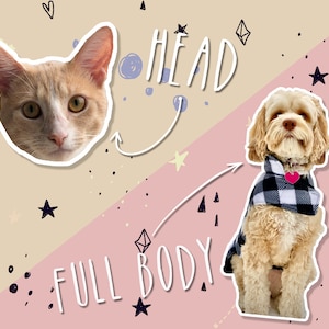 May include: A digitally illustrated image featuring a cat's head and a dog's full body. The cat is orange and white. The dog is wearing a black and white plaid scarf with a pink heart. The words "HEAD" and "FULL BODY" are written on the image.