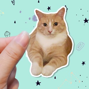 May include: A sticker featuring a ginger and white cat with a white border. The cat is sitting and looking forward. The background is light blue with doodles of stars, constellations, and other shapes.