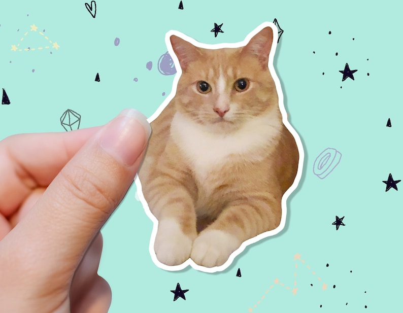 May include: A sticker featuring a ginger and white cat with a white border. The cat is sitting and looking forward. The background is light blue with doodles of stars, constellations, and other shapes.