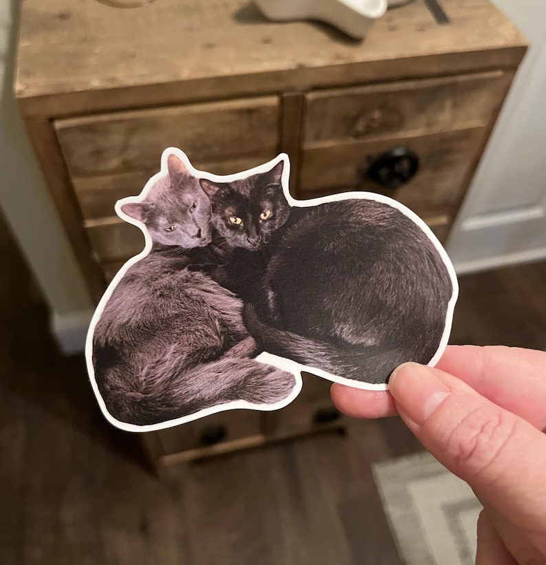 May include: A sticker featuring two cats, one gray and one black, cuddling. The gray cat is nestled against the black cat, with both cats' eyes visible. The sticker has a white border and is held by a person's hand.