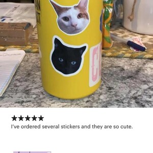 May include: Yellow tumbler adorned with cat face stickers. The tumbler has a sticker that says "AN ST". The image also shows a review with five stars and the text "I've ordered several stickers and they are so cute."