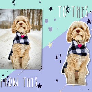 May include: A light brown dog wearing a black and white plaid scarf with a pink heart-shaped tag. The image shows a before-and-after comparison with the text "TO THIS" and "FROM THIS". The background is a snowy path.