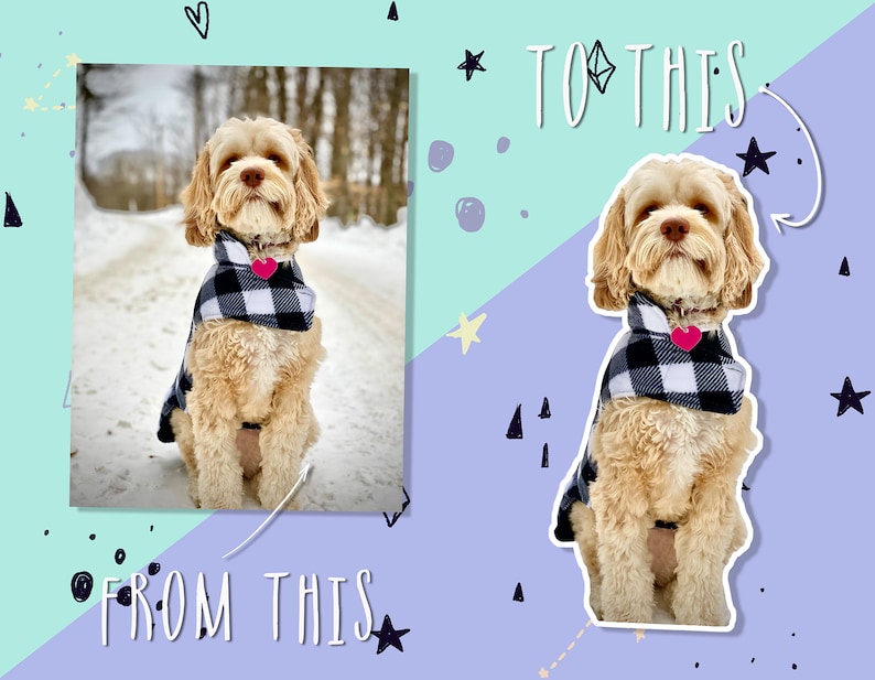 May include: A light brown dog wearing a black and white plaid scarf with a pink heart-shaped tag. The image shows a before-and-after comparison with the text "TO THIS" and "FROM THIS". The background is a snowy path.
