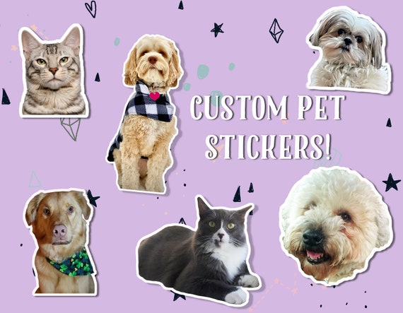 Custom Pet Photo Stickers: Waterproof Vinyl Decals
