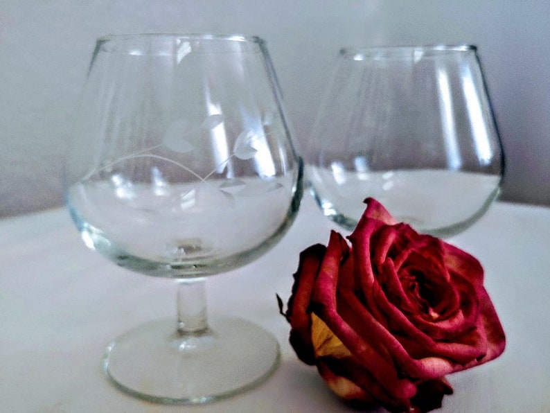 Brandy Snifter Glasses/ Princess House Crystal/ Heritage image 0